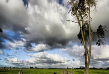 九游体育-败北引发热议！，Scout在TES比赛中爆冷观众掌声雷动的简单介绍