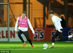 莱万什么水平 莱万什么水平